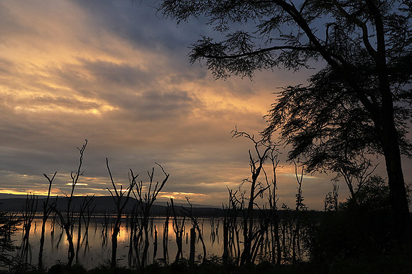 Lake Nakuru - sunrise