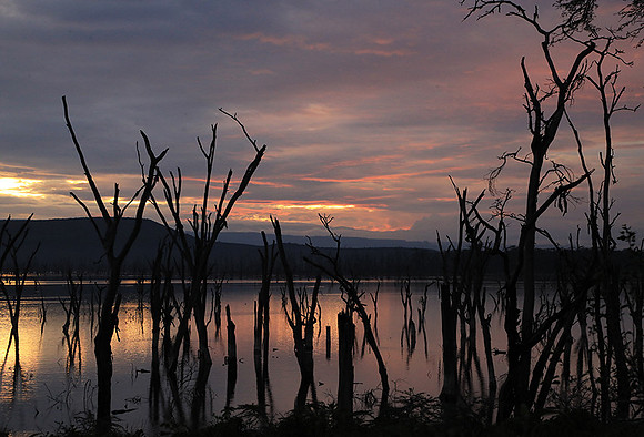 Lake Nakuru - sunrise