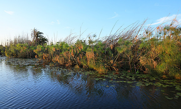 Delta of Okavango