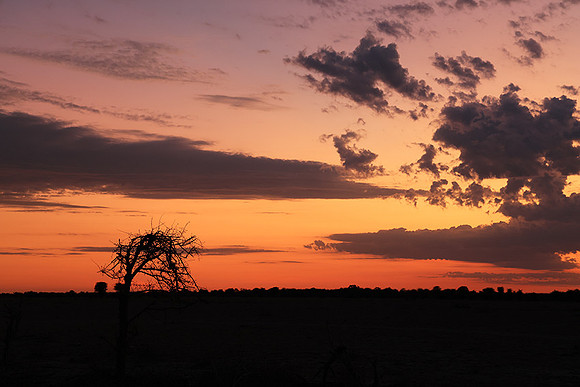 Sunrise - Nxai Pan