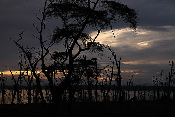 Lake Nakuru - sunrise