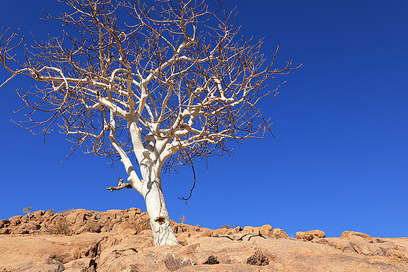Damaraland