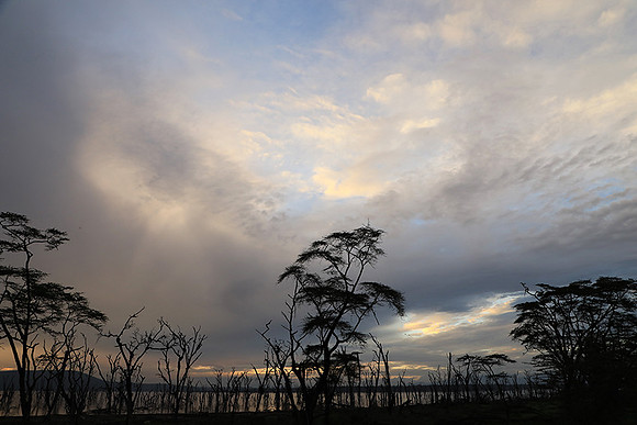 Lake Nakuru - sunrise