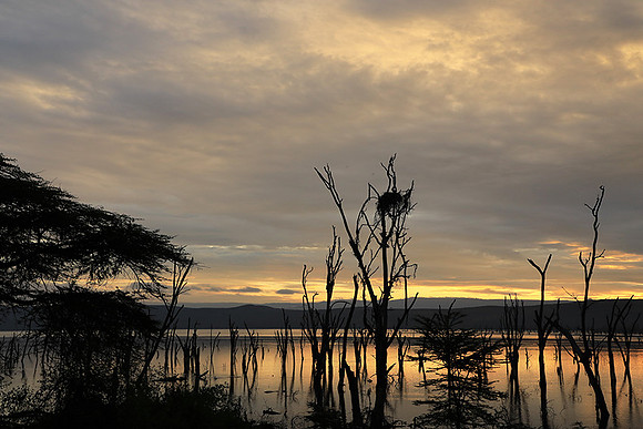Lake Nakuru - sunrise