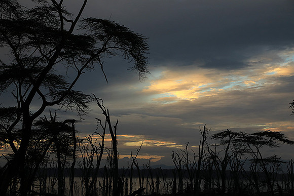 Lake Nakuru - sunrise