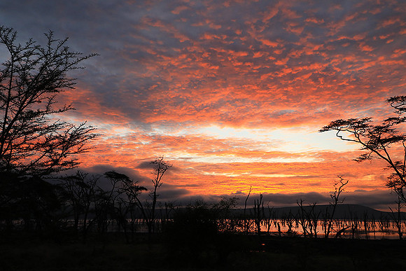 Lake Nakuru - sunrise