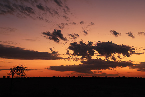 Sunrise - Nxai Pan