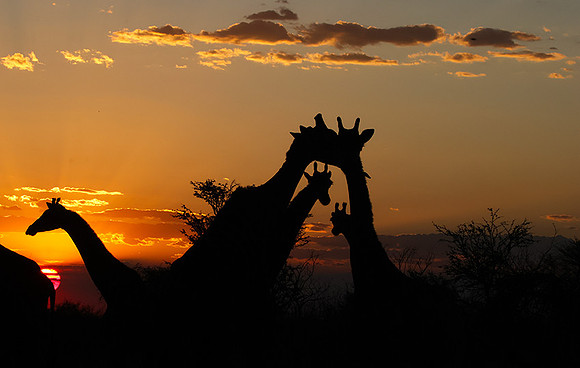 Sunset - Tau Pan
