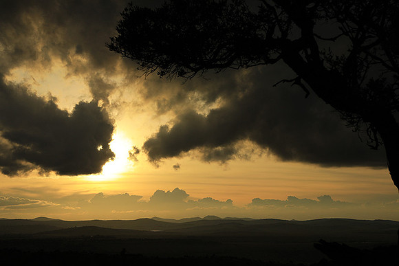 Sunset - Borana