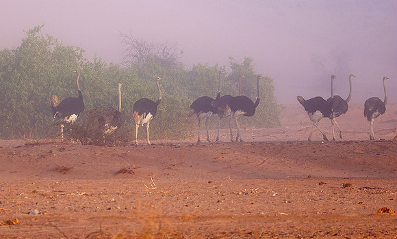 Damaraland