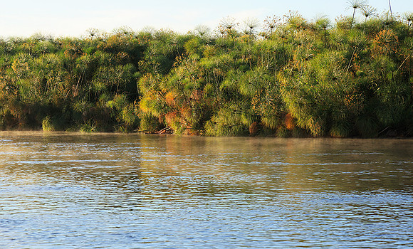 Delta of Okavango