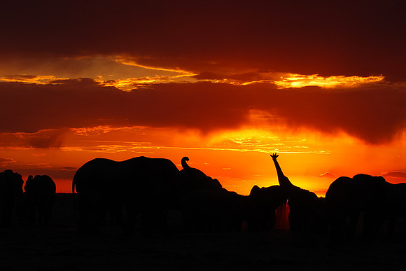 Sunset - Nxai Pan