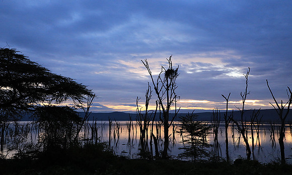 Lake Nakuru - sunrise