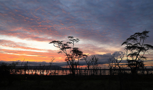 Lake Nakuru - sunrise