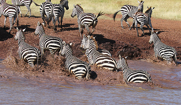Serengeti - Grumeti Private Reserve