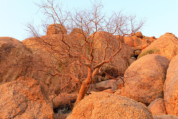 Damaraland