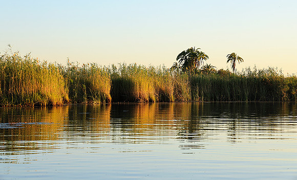 Delta of Okavango
