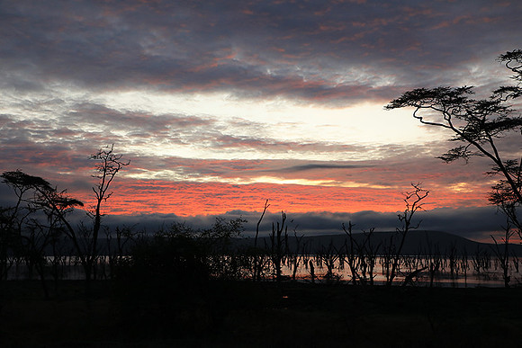 Lake Nakuru - sunrise