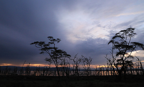 Lake Nakuru - sunrise