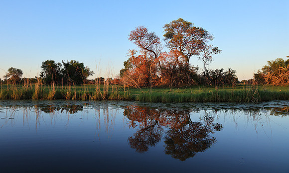 Delta of Okavango