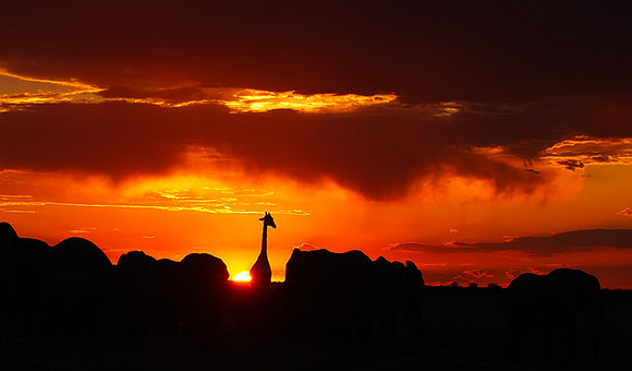 Sunset - Nxai Pan