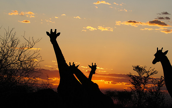 Sunset - Tau Pan