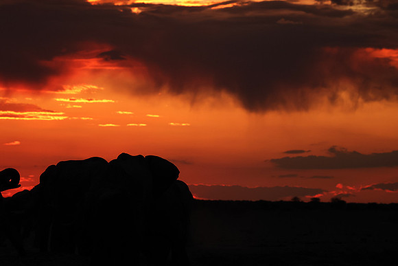 Sunset - Nxai Pan