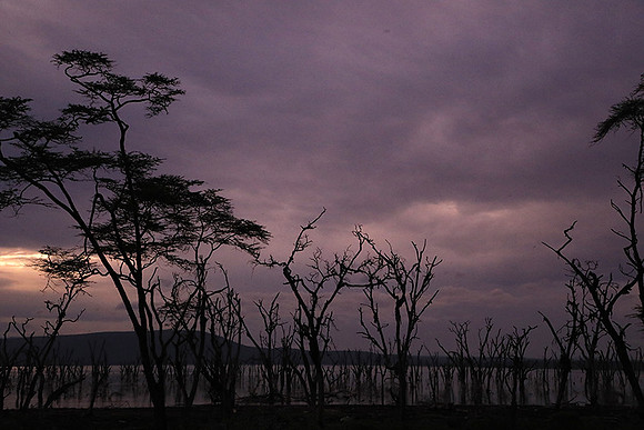 Lake Nakuru - sunrise