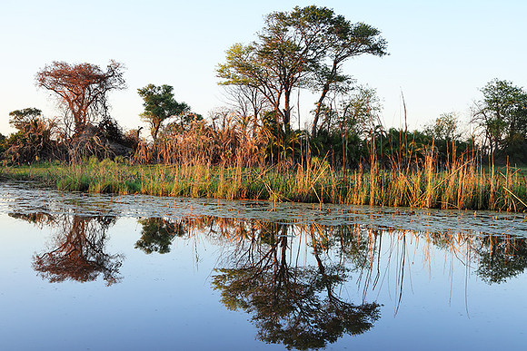 Delta of Okavango
