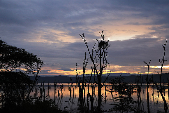 Lake Nakuru - sunrise