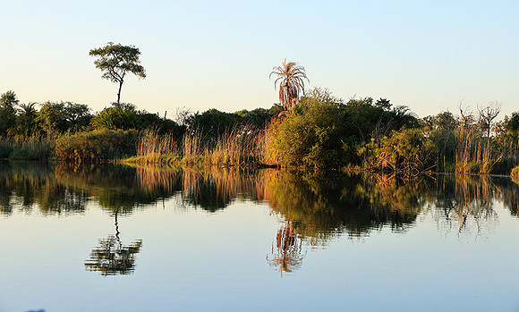 Delta of Okavango