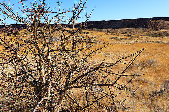 Damaraland