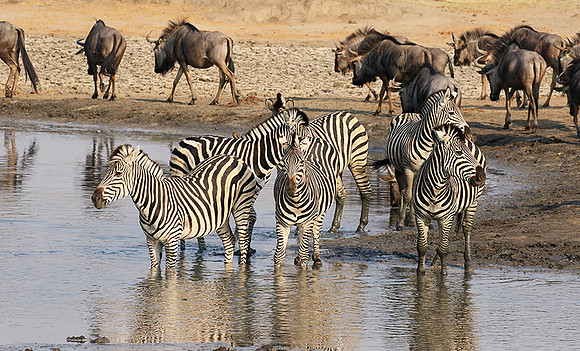 Hwange National Park