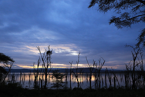Lake Nakuru - sunrise