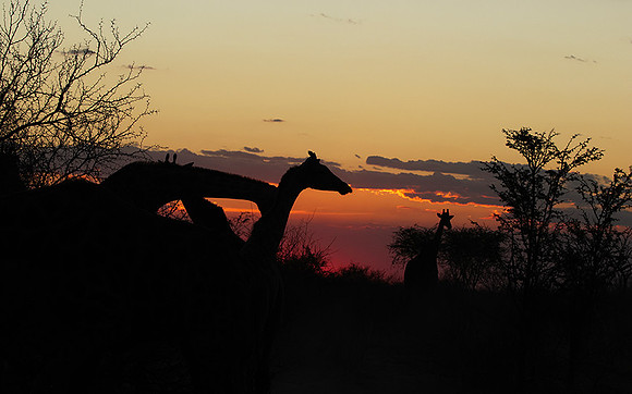 Sunset - Tau Pan