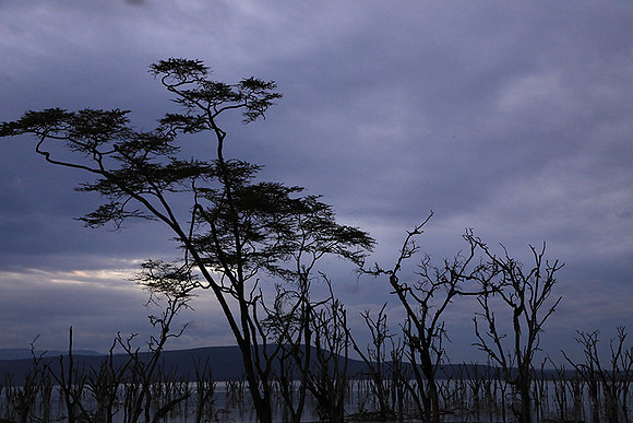 Lake Nakuru - sunrise