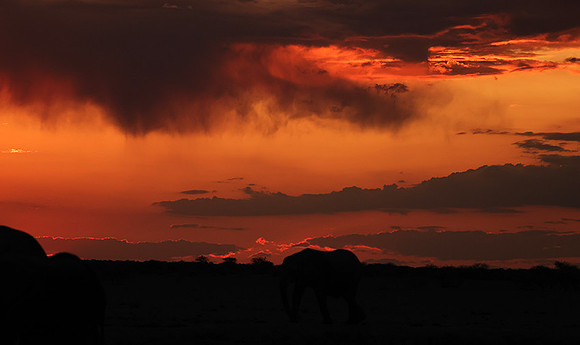 Sunset - Nxai Pan
