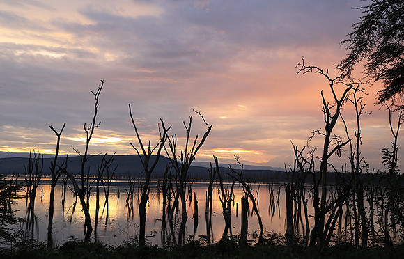 Lake Nakuru - sunrise