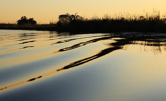 Delta of Okavango
