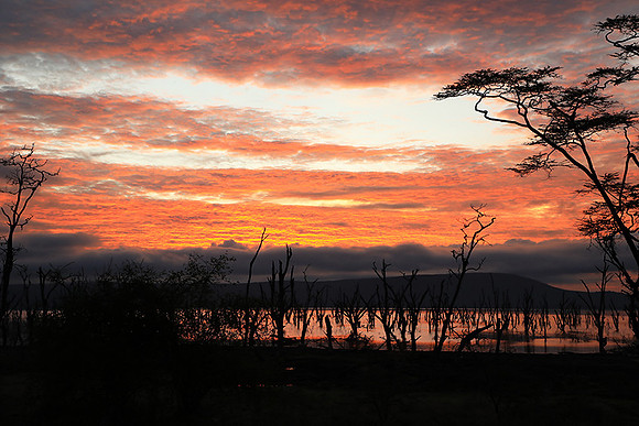 Lake Nakuru - sunrise