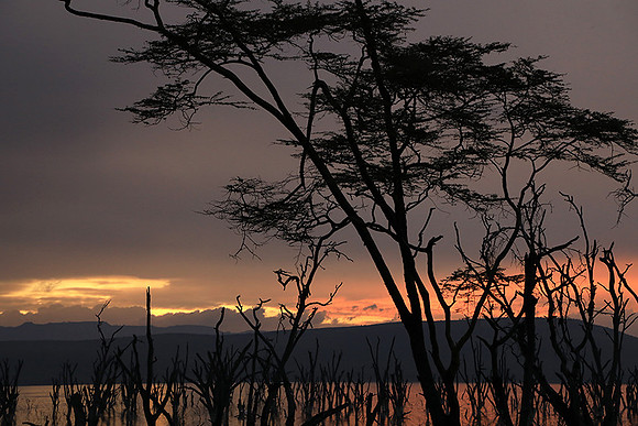 Lake Nakuru - sunrise