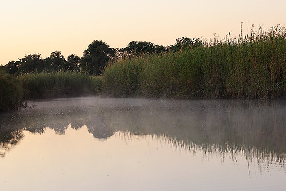 Delta of Okavango