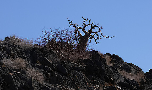 Damaraland