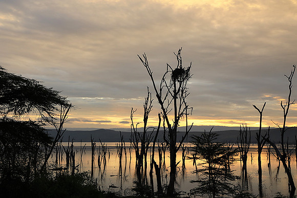 Lake Nakuru - sunrise