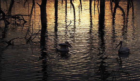 Lake Nakuru