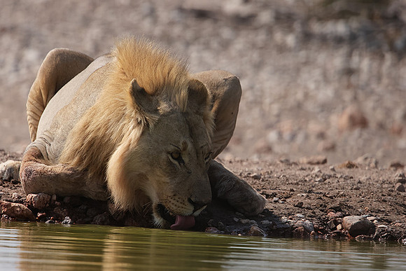 Ongava Private Reserve