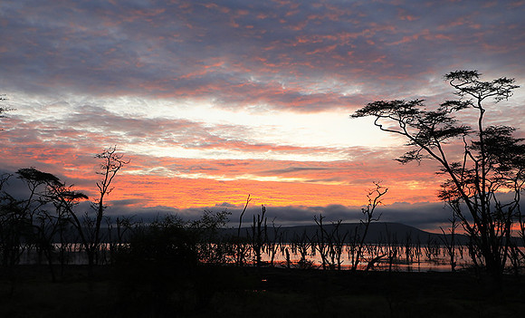 Lake Nakuru - sunrise