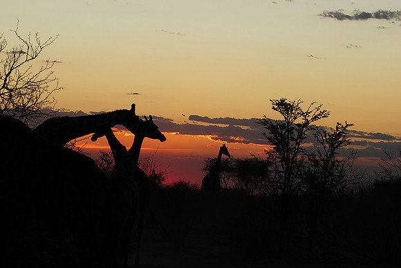 Sunset - Tau Pan