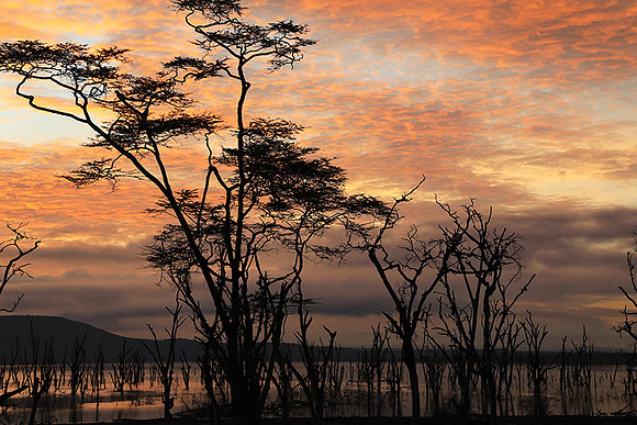 Lake Nakuru - sunrise