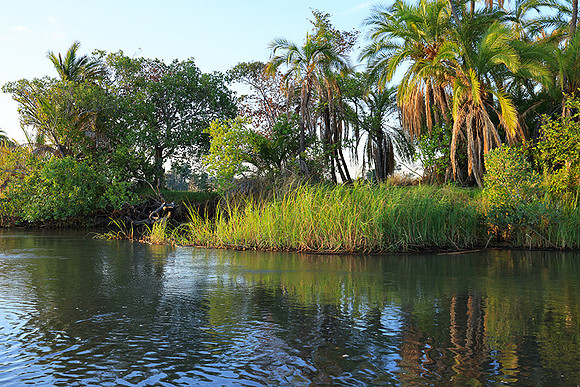 Delta of Okavango